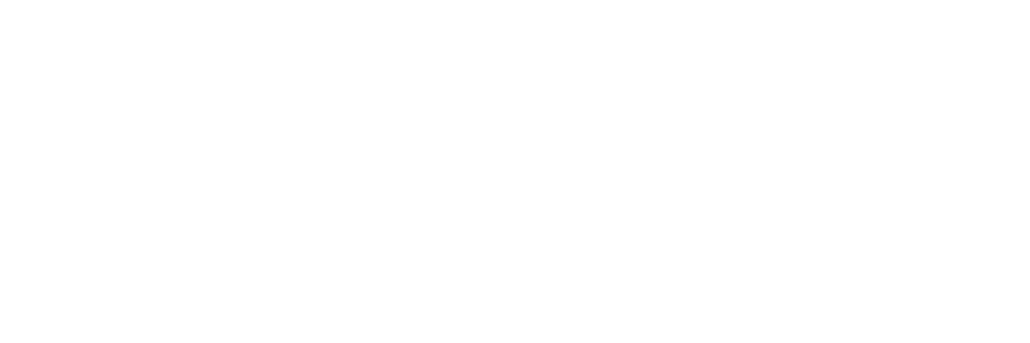 cropped-Ancile-Solutions-Logo-White-01.png